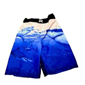 🌸🌸 5 for $15🌸🌸 Boys swim trunk bundle ( 2 swim shirts 1 swim trunks)